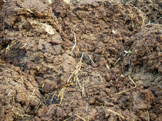 Cow dung gathered in indian village rural areas as bio fertilizer
