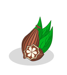 Chocolate fruit illustration image .Chocolate fruit icon.Fruits