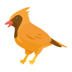 blackbird animal spice