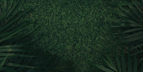 abstract green background