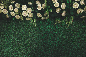 abstract background with green leaves