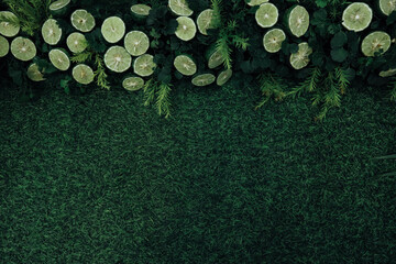 Green Backdrop, Bergamot, Lemon, Background for text Design, Green Background. - obrazy, fototapety, plakaty