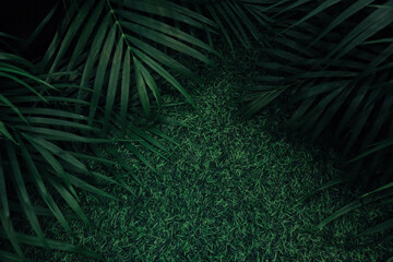 background of green fern