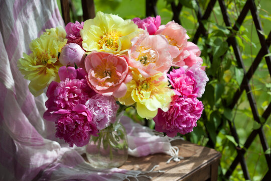 A bouquet of yellow, pink and coral peonies in a vase on a chair in the garden by the pergola against the backdrop of green grass. Colorful postcard.