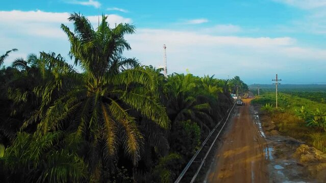 Cinematic Drone Shot of Onshore Drilling and Workover Rig structure and Rig equipment for oil exploration and exploitation in the middle of jungle surrounded by palm oil trees during sunset time.