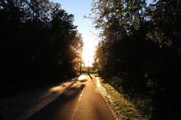 Fototapeta premium Trail To The Sun, Gold Bar Park, Edmonton, Alberta