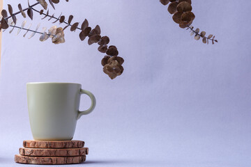 green coffee cup with eucalyptus leaves on pastel violet background