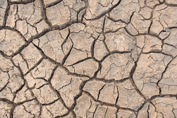 landscape of dry mud in the dry season. The concept of drought, natural disasters.
