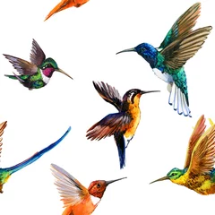 Fotobehang Kolibrie naadloze patroon aquarel kolibrie. Tropische vogel