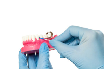 Dentist with interdental toothpick brush and layout of the human jaw.