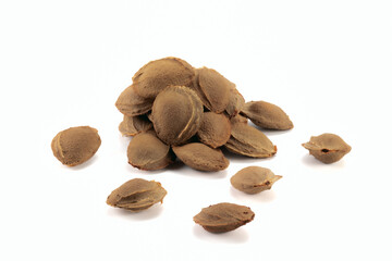Seeds of apricot over bright background.  Close up view.