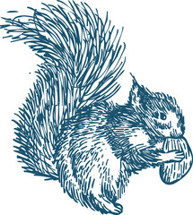 Squirrel with nut toile de jouy 