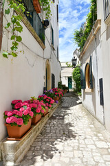 Fototapeta na wymiar A narrow street among the old houses in the historic center of Otranto, a town in Puglia in Italy.