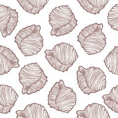 Hand drawn vintage clam shell conch line art seamless pattern