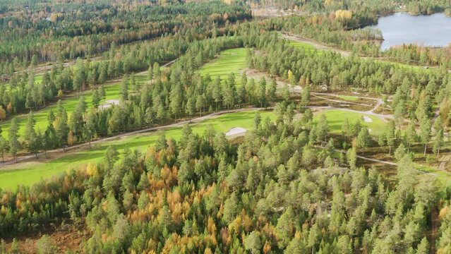 Cinematic aerial footage over colorful green golf course and Northern Sweden autumn landscape.