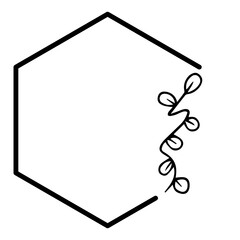 hexagon floral frame
