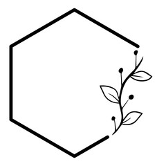 hexagon floral frame
