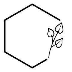 hexagon floral frame
