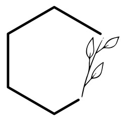 hexagon floral frame
