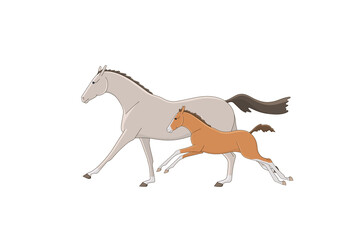 Running free mare with foal