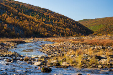 Autumn view of a small river and mountains. Beautiful northern nature. Ecological tourism and wilderness travel. Picturesque landscape. Magadan region, Siberia, Far East of Russia. September.