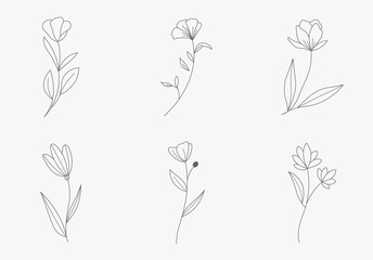 flower in hand drawn style. bloom and floral black and white. Illustration for the Valentine's day, wedding decor, logo and identity template.