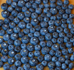 Natural background of 
bright  blueberries