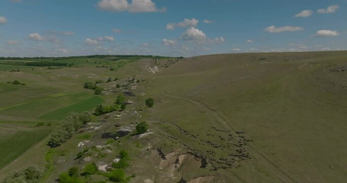 aerial shot of trinca canyon with flock of sheep