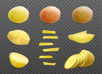 Realistic Potatoes Transparent Set