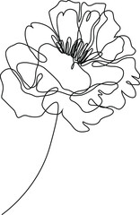 Peony flower isolated vector illustration. Vector wildflower for background. Abstract botanical art. Simple minimalist art. Continuous line drawing.
