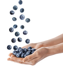 Woman and fresh ripe blueberries on white background, closeup