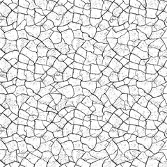 Seamless crack texture. Cracked soil. Black and white vector realistic background pattern.