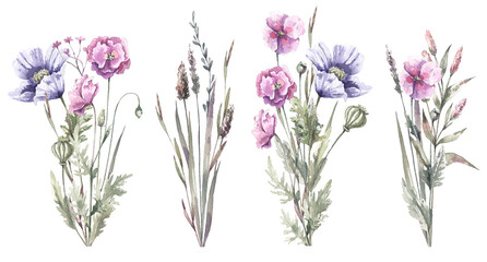 wildflowers, pink and purple poppies, field greens. Floral, watercolor illustration isolated on white background.