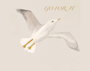 dove of peace, motivation slogan