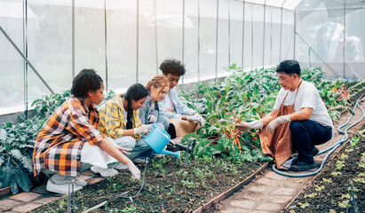 Young teen girl and boy working in the vegetable garden, garden expert is teaching group of teenage...