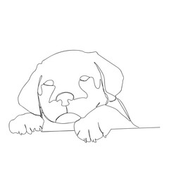 Vector image of an dog labrador on white background. One line drawing.