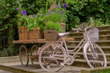 Fototapeta na wymiar FAhrrad mit Blumenanhänger