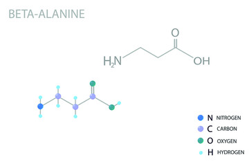 Beta-Alanine molecular skeletal 3D chemical formula.	
