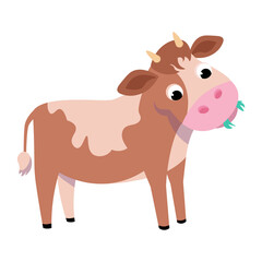 Funny calf chews grass. Animals on white background. Isolated image. Vector color illustration in cartoon style. Picture for design.
