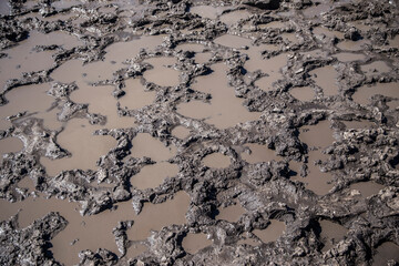 footprints in wet mud