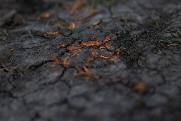 dry soil cutout at sunset