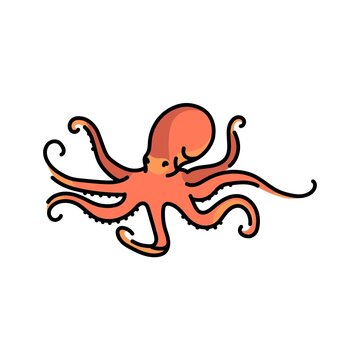 Octopus color line illustration. Ocean fishes