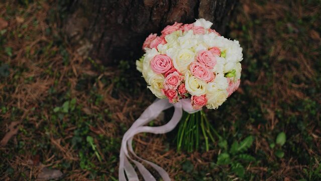 There is a bouquet of fresh flowers near the tree. The bouquet rests on the trunk of a tree. top view