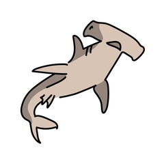 Hammerhead shark color line illustration. Marine mammals. - obrazy, fototapety, plakaty