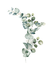Eucalyptus flower wreath. Floral bouquet. Watercolor illustration isolated on white. Greenery for wedding invitation, greeting cards, decoration, stationery design. Hand drawn green herbs © Nataliya Kunitsyna