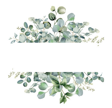 Eucalyptus flower border. Watercolor illustration isolated on white. Greenery clipart for wedding invitation, greeting cards, decoration, stationery design. Hand drawn green herbs