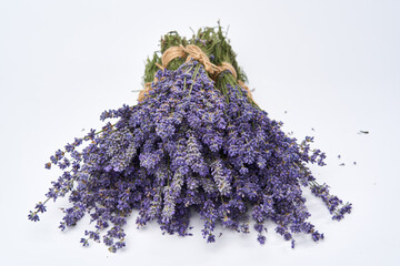 Lavender in a bouquet on white background