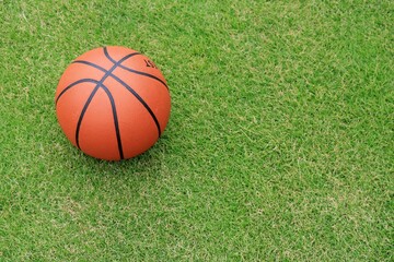 芝生とバスケットボール3