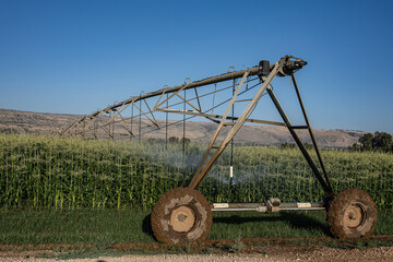 Agricultural irrigation equipment with water sprinklers in the field, northern Israel.
