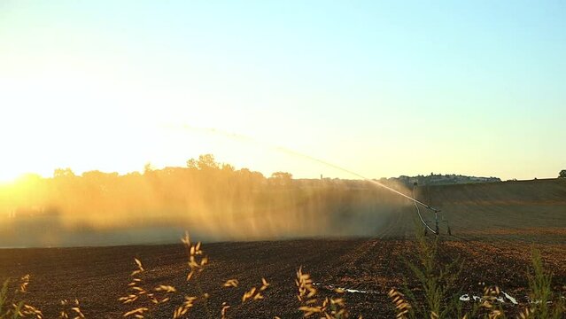 irrigation and Watering Equipment in Farmland Field, Water Splashing and Spraying at Sunset on Agricultural Soil in Cingoli Italy, Panning View